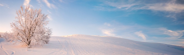 Blue Haven Initiative photo