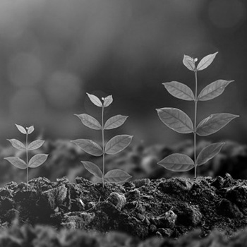Inc.: How to Get People (Literally) Invested In Your Social Mission: 5 Steps